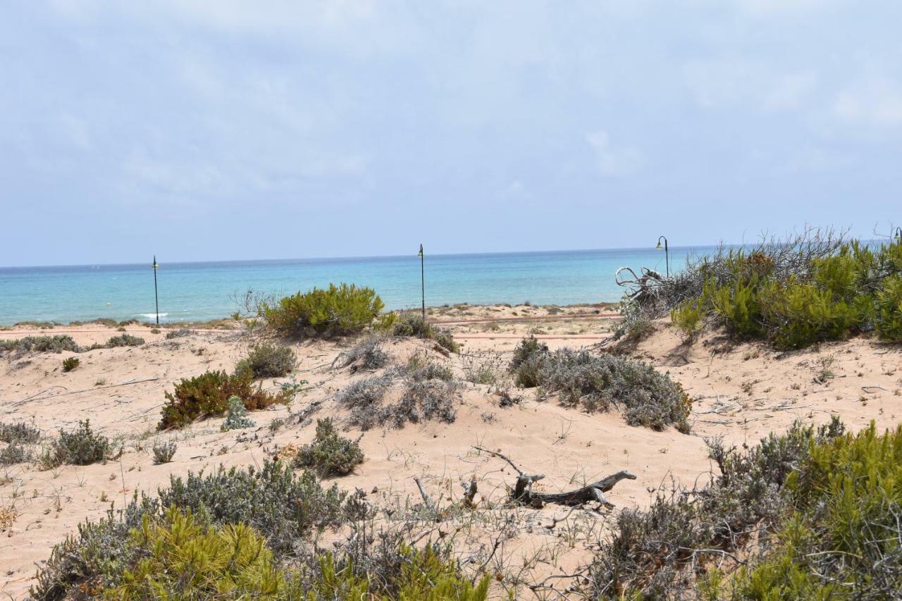 Apartment Vinamar III - Sunny La Mata La Mata  Zewnętrze zdjęcie