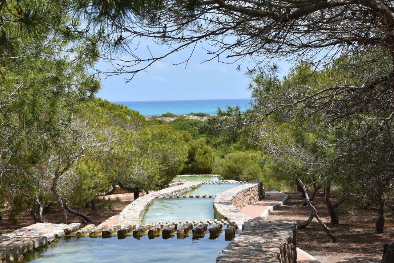 Apartment Vinamar III - Sunny La Mata La Mata  Zewnętrze zdjęcie